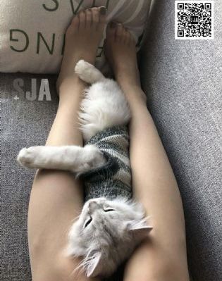 久草视频福利在线观看-全集高清免费观看字幕