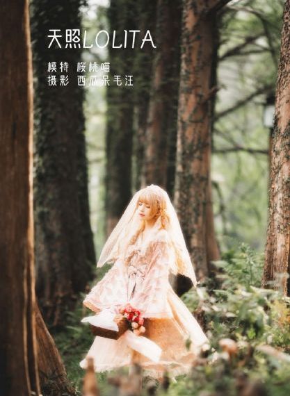 天天综合网中文视频在线观看-免费日韩日韩电影在线
